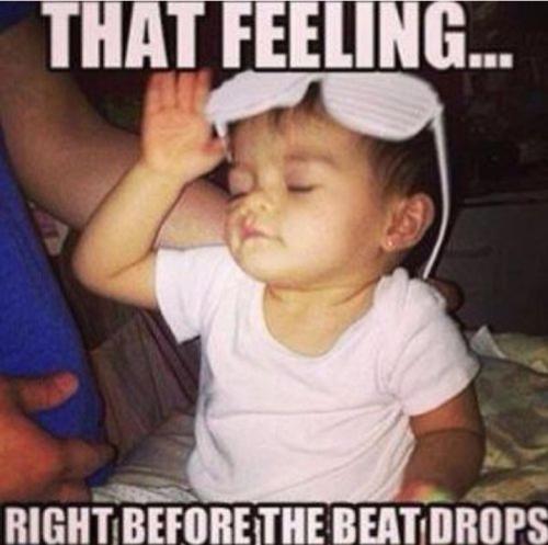 Screenshot_20260430_145331_Gallery