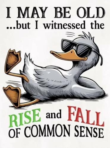 witnessedd-rise-and-fall-of-commonsense