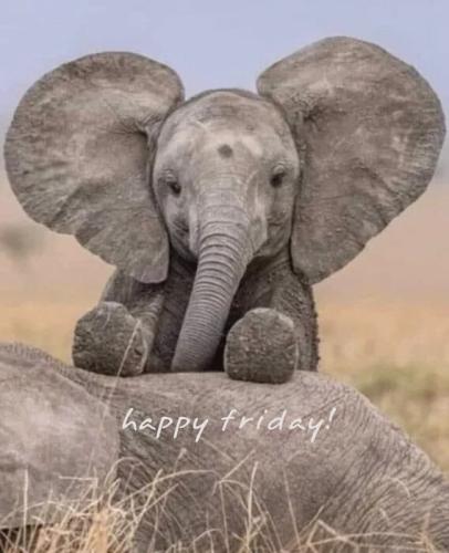 e6e2dc60895f190b418e3fcb167fcae4