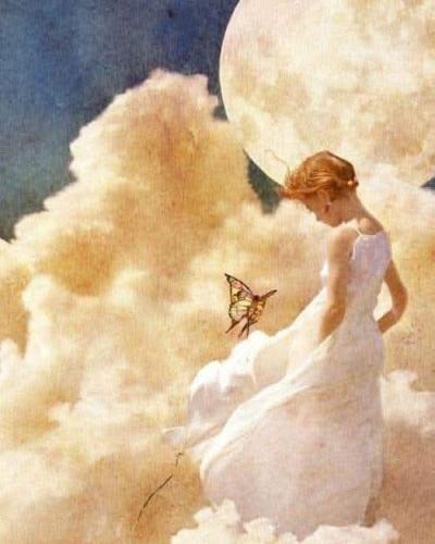 666153105_895261923514212_3977225804725152479_n