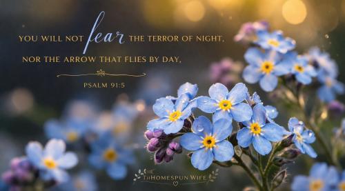 668385658_1532163924938504_3084401616774481908_n