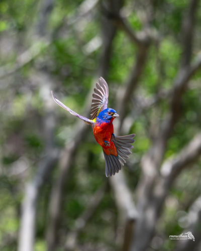 RDT_20260428_2033408462839189831963522