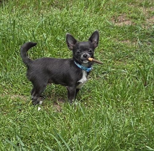 136cee48-289f-4377-b07c-ff4446417b0b