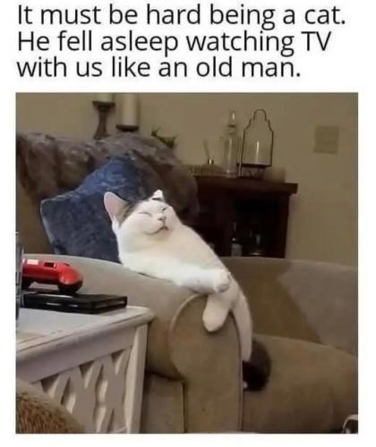 658982430_122163709640693221_818134079022098874_n