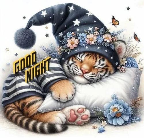 40785d048de61f34010981ceb0b2d84a