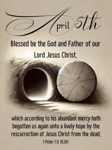 666518197_963329532868060_6110399109866605034_n