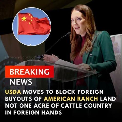 667531930_122193664760798186_2412164459571042584_n