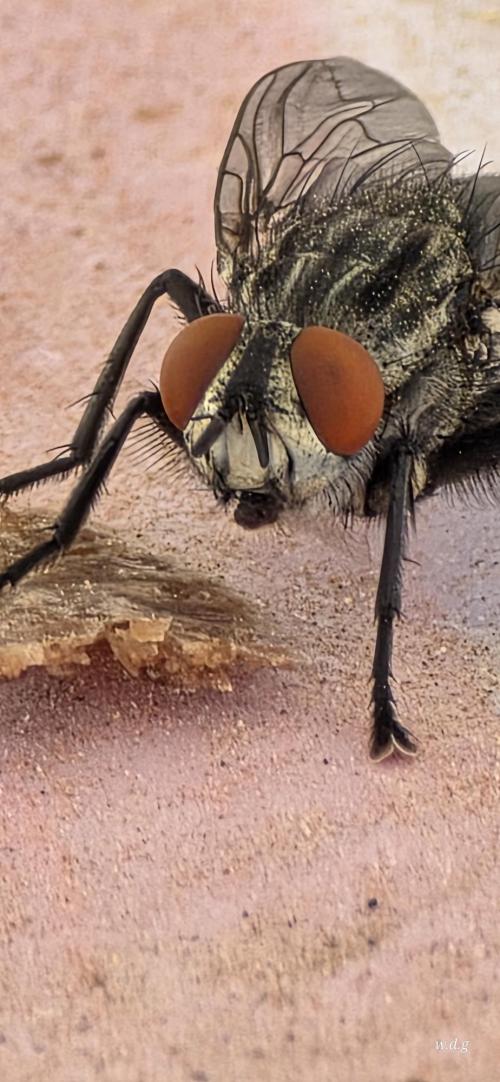 1a037688-5b90-47e5-a2aa-a9894c323421