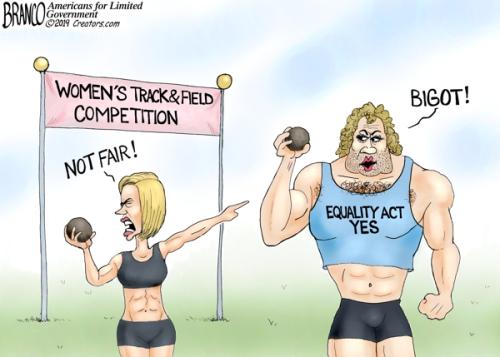 BRANCO trans-rights-dt-600
