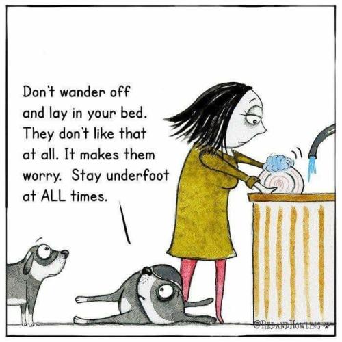 9d70bf2d47cbb15d9d8b0811051dee51