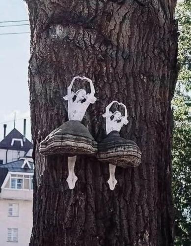 662001682_1996746251191077_6213579037398843_n