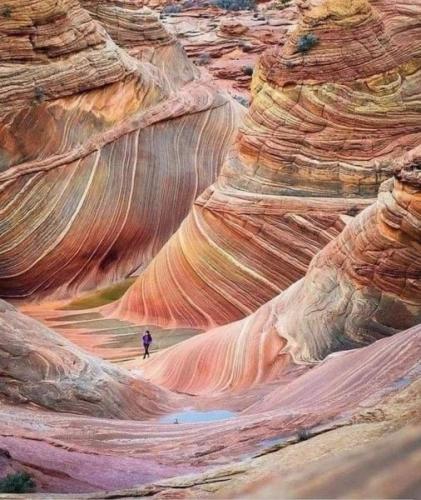 468553116_618033460579228_916150207078775199_n