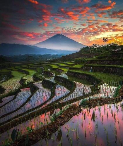 658594332_2304497543684856_5554384880596748786_n