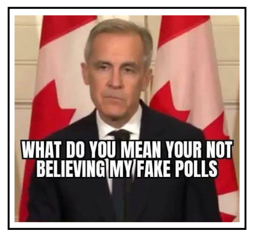 fake polls