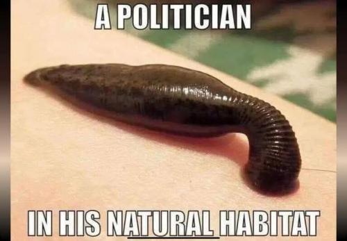 FB_IMG_1775961466337