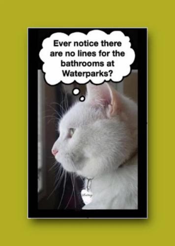 lines-waterpark-bathrooms