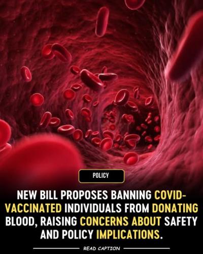 666771846_122180125178431476_495352640815169630_n