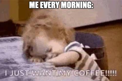 Screenshot_20260406_071717_Gallery