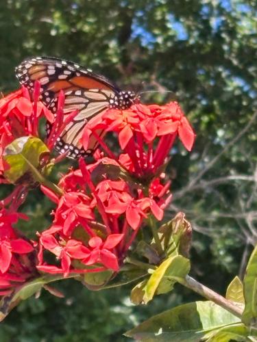 AADED963-B2F4-42FF-83F6-7429AEC0F644