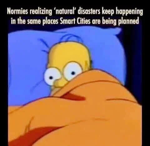 d5bed4e8f5b4b5959cdab197c74a728a