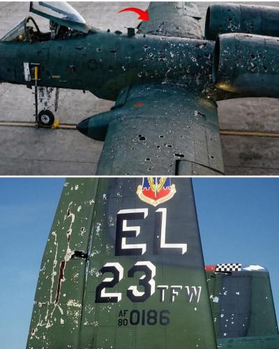 76de0482-02fc-492f-887a-da80d6c38852