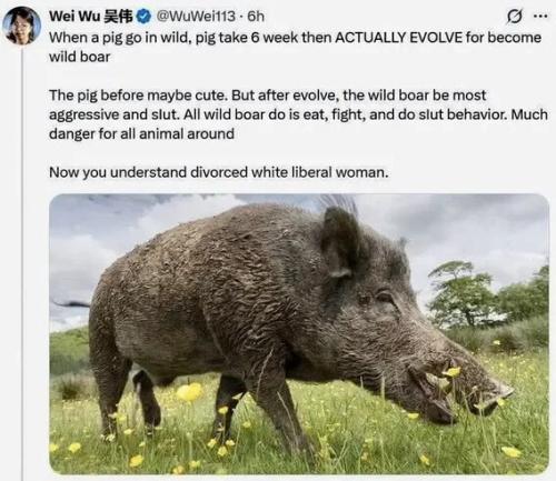 divorced-white-liberal-woman
