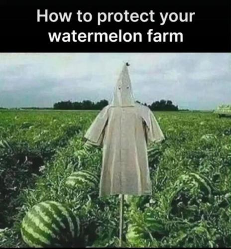 protect-watermelon-farm