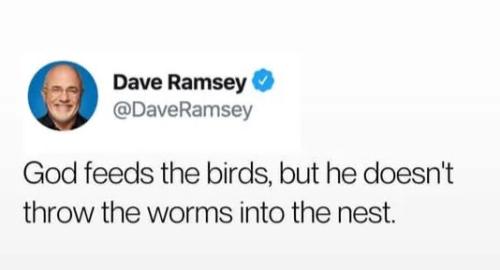 god-feeds-the-birds