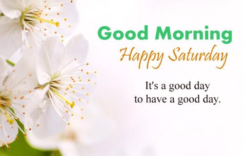 All week saturday 4