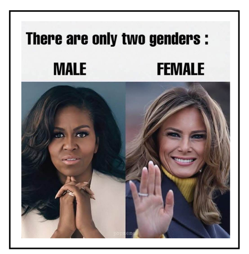 male and female