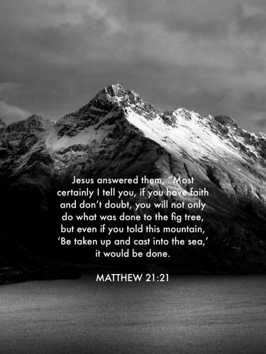 unnamed-13