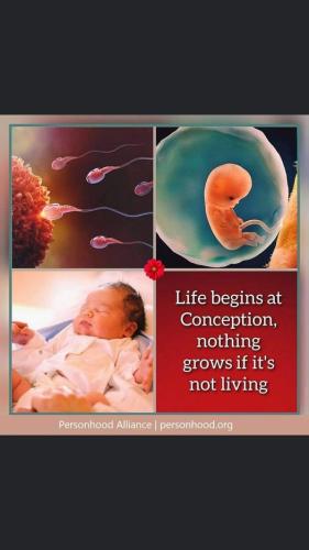 pro life 61
