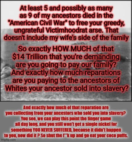 my-ancestors-died-to-free-slaves