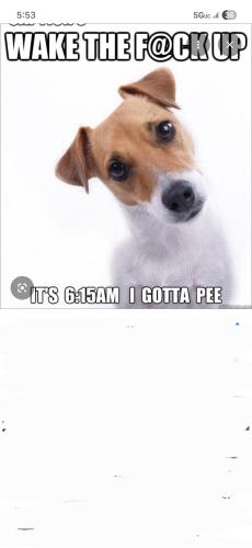 05:54:29 GMT-0400