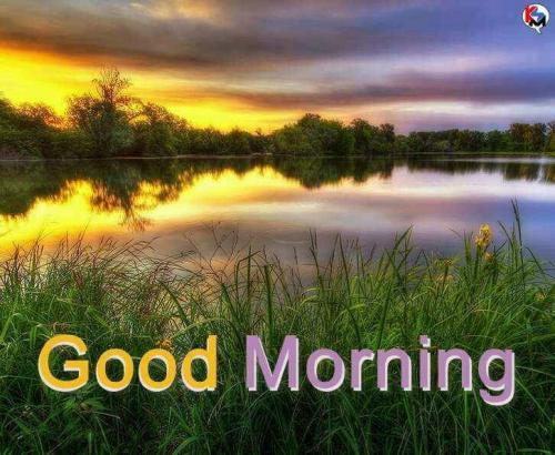 morning 4