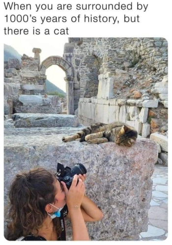 canon-are-surrounded-by-1000s-years-history-but-there-is-cat