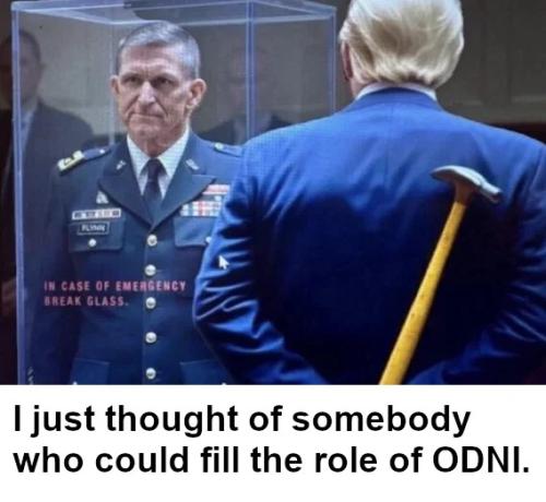 fill-role-odni
