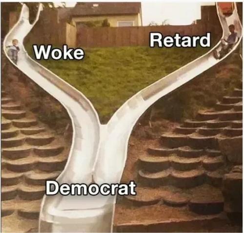 woke-retard-democrat