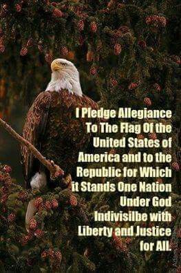 pledge 55