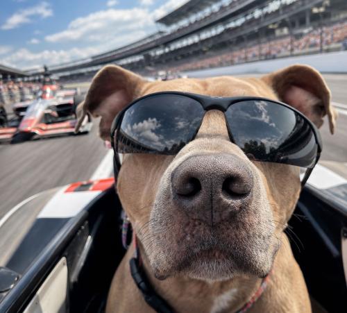 a a indy 500 dubs