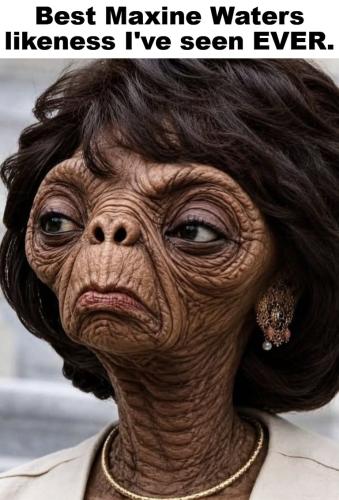 Best Maxine Waters likeness I've seen EVER.768px