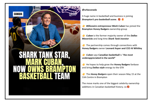 brampton basketet ball team owner