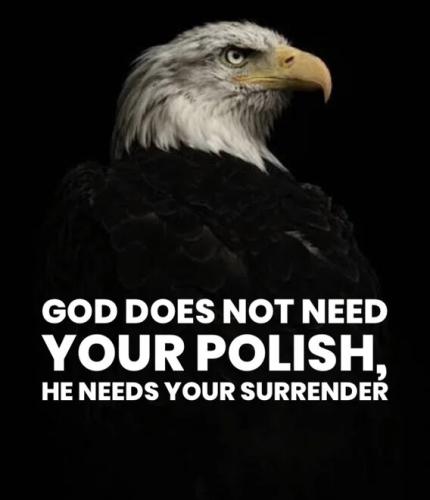 god-does-not-need-polish