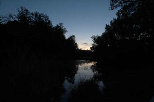 IMG_8921_Compressed