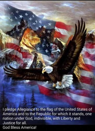 Pledge 39