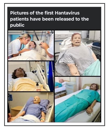 first pictures