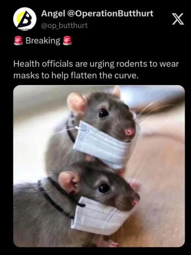 encourage-rodents-wear-masks