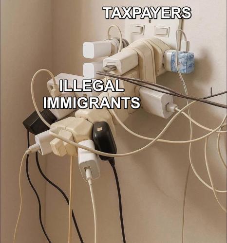 illegals