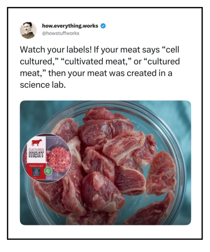cultured meat