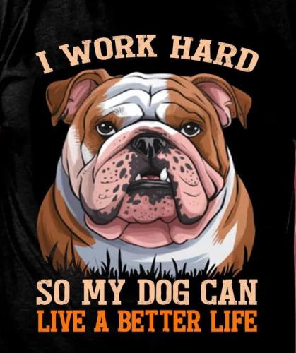 dog-can-live-better-life
